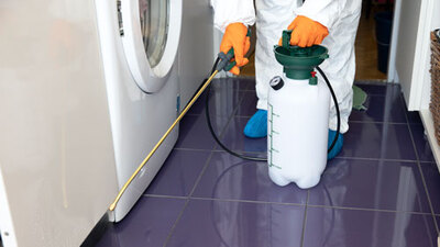 Limco Servicios de Jardinería y Limpieza Bilbao Limco Servicios de Jardinería y Limpieza Bilbao